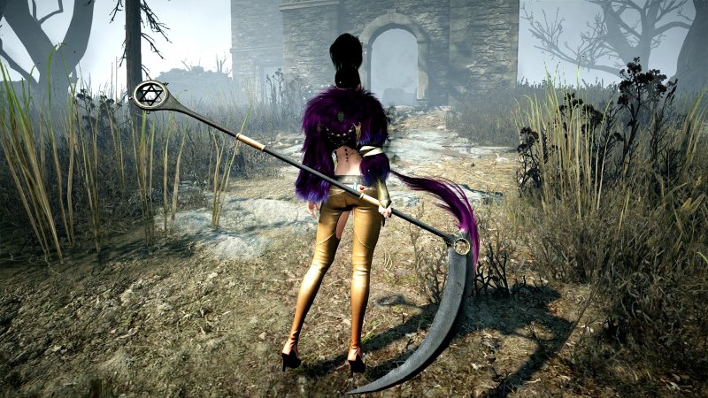 Black Desert Online Pc Multiplayer It