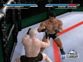 Ultimate Fighting Championship