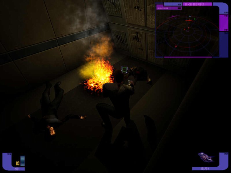 Star Trek Deep Space Nine: The Fallen