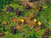 The Settlers 4