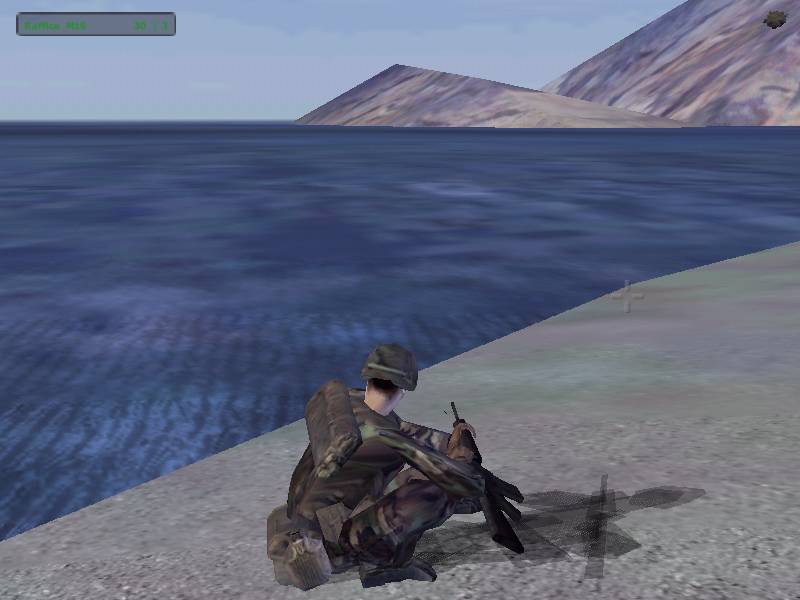 Operation Flashpoint: Cold War Crisis