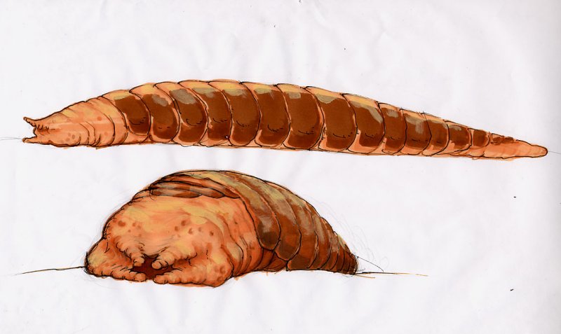 Frank Herbert's Dune