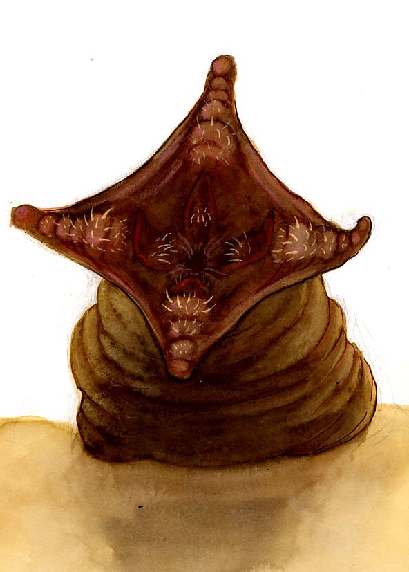 Frank Herbert's Dune