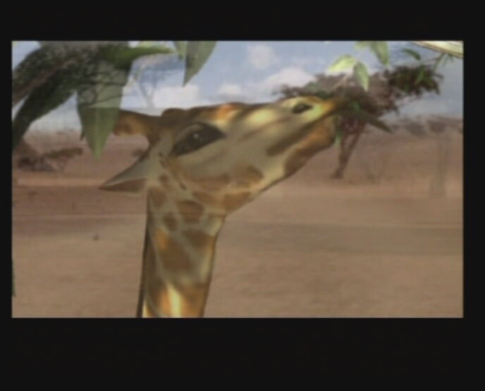 Global Touring Challenge Africa