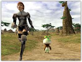Final Fantasy XI