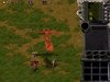 Kingdom Under Fire Gold
