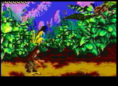 Pitfall: The Mayan Adventure