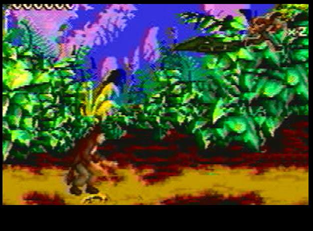 Pitfall: The Mayan Adventure