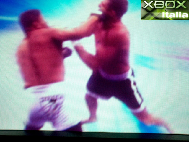 Ultimate Fighting Championship: Tapout