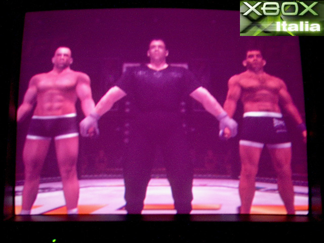 Ultimate Fighting Championship: Tapout