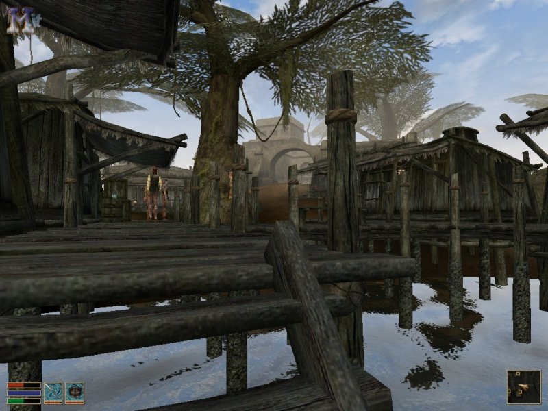 Un'immagine da The Elder Scrolls III: Morrowind