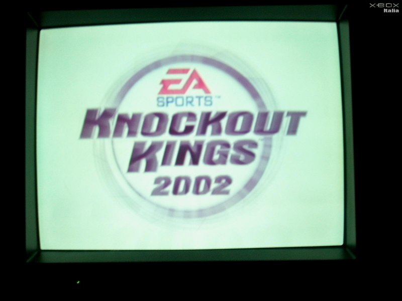 Knockout Kings 2002