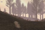 Deer Hunter 2005 - Trucchi - Trucco