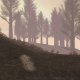 Deer Hunter 5