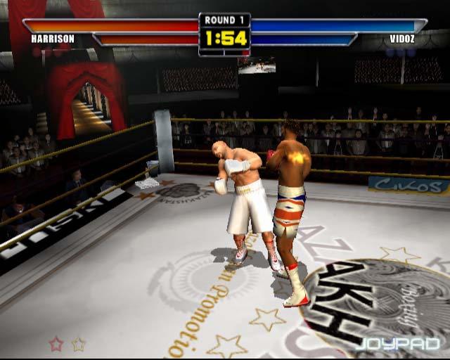 Mike Tyson Heavyweight Boxing