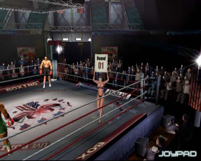 Mike Tyson Heavyweight Boxing