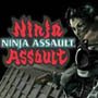 Ninja Assault
