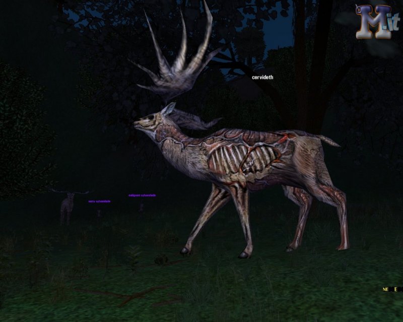 Dark Age of Camelot: Shrouded Isles