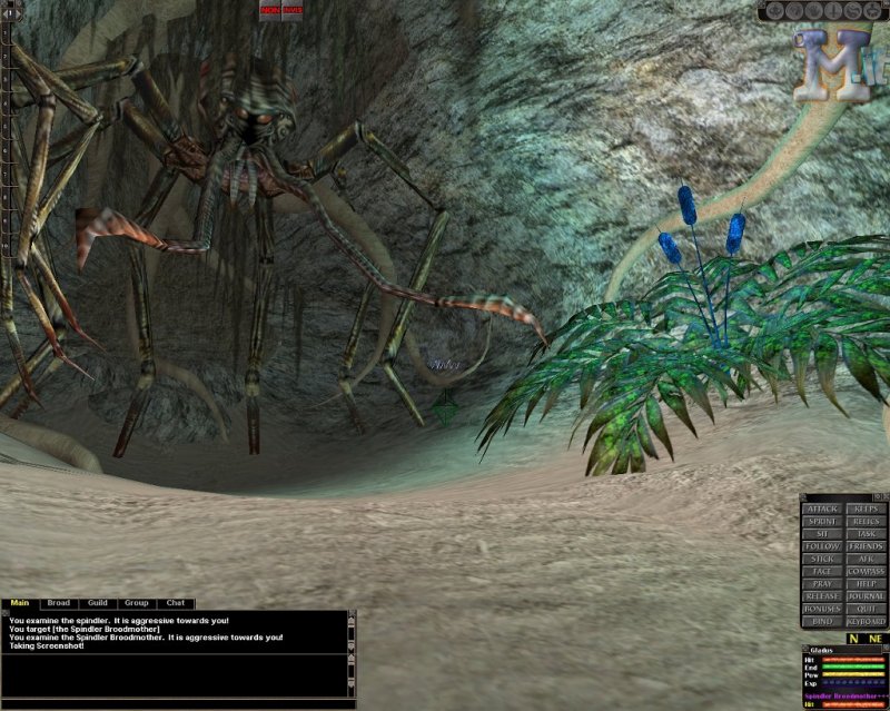 Dark Age of Camelot: Shrouded Isles