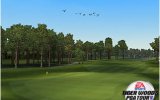 Tiger Woods Pga Tour 2003