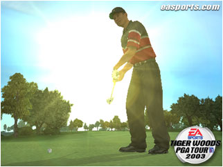 Tiger Woods PGA Tour 2002