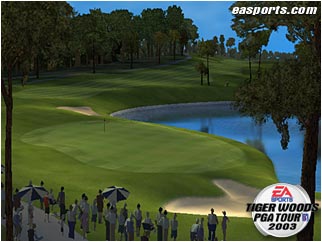 Tiger Woods PGA Tour 2002