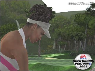 Tiger Woods PGA Tour 2002