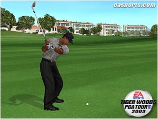 Tiger Woods PGA Tour 2002