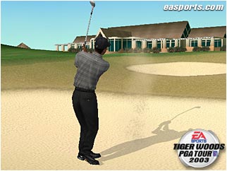 Tiger Woods PGA Tour 2002