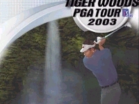 Tiger Woods PGA Tour 2002