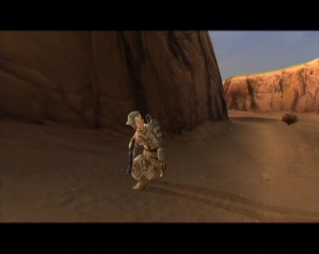 Conflict: Desert Storm