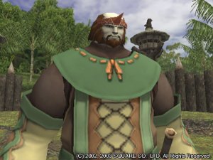 Final Fantasy XI: Vision of Ziraat