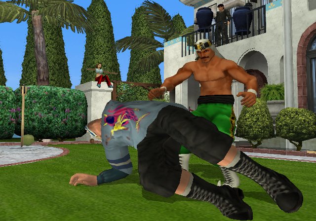 Backyard Wrestling: Don't Try This at Home