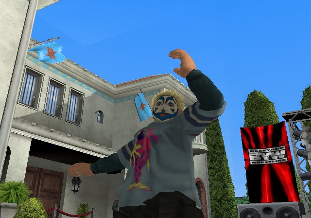 Backyard Wrestling: Don't Try This at Home