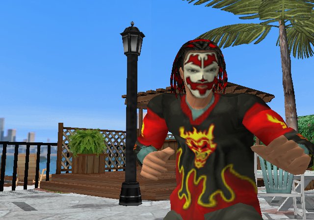 Backyard Wrestling: Don't Try This at Home