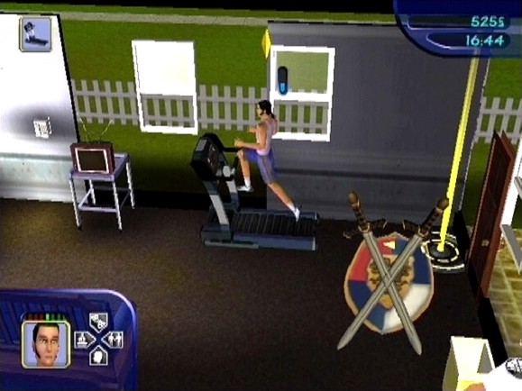 The Sims