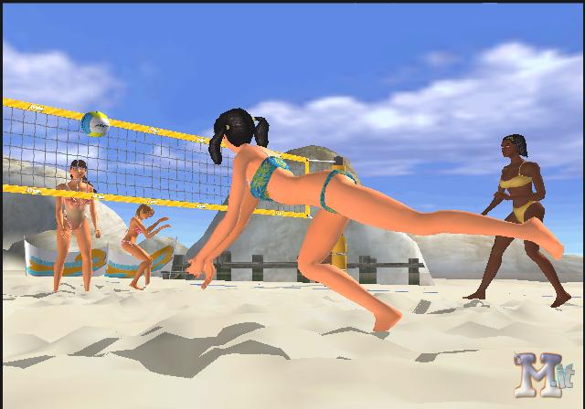 Summer Heat Beach Volleyball