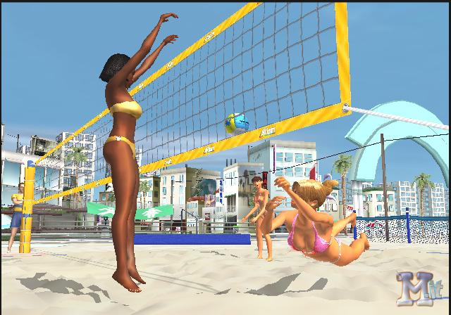 Summer Heat Beach Volleyball