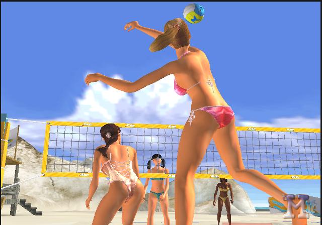 Summer Heat Beach Volleyball
