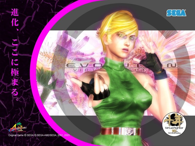 Virtua Fighter 4 Evolution