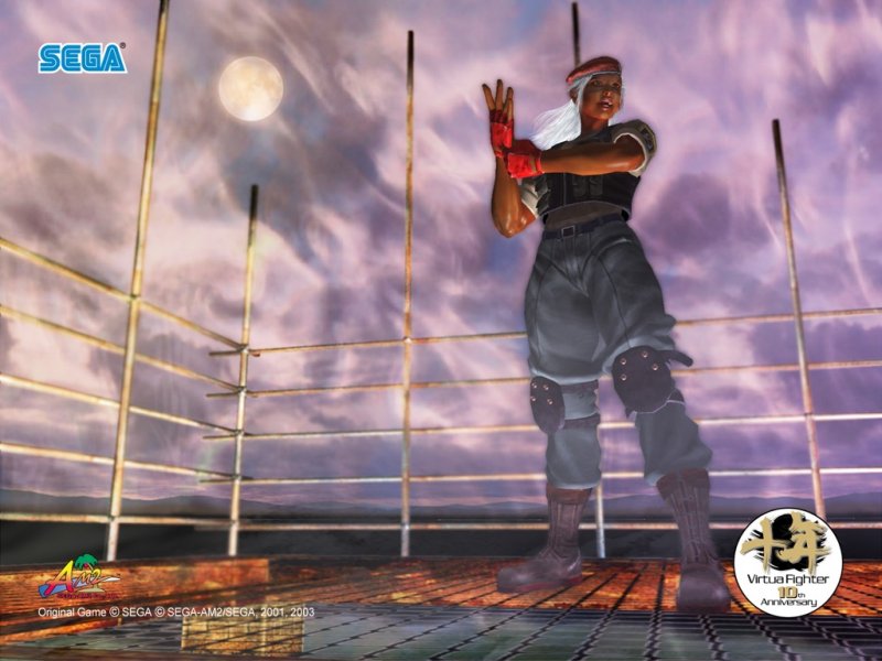 Virtua Fighter 4 Evolution