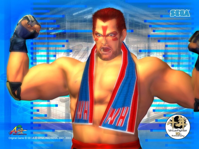 Virtua Fighter 4 Evolution