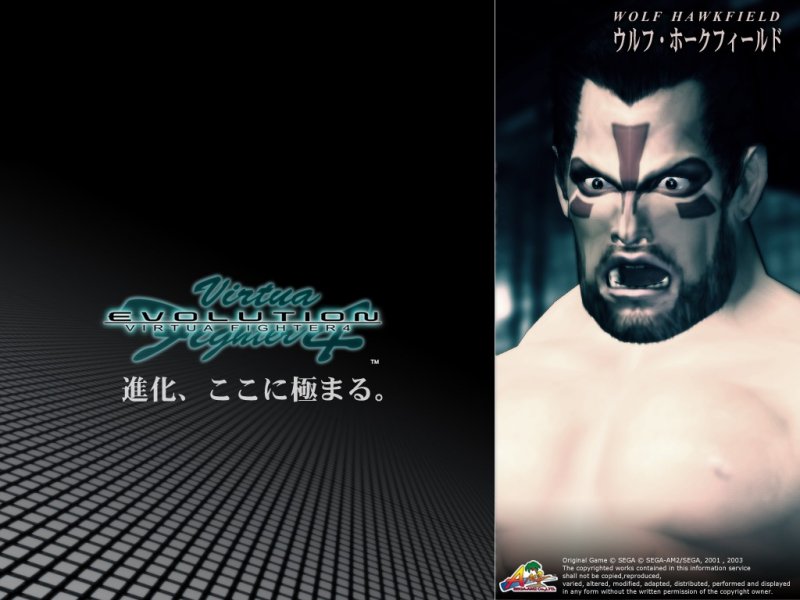 Virtua Fighter 4 Evolution