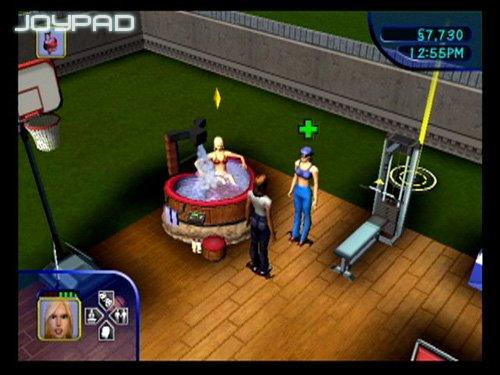 The Sims