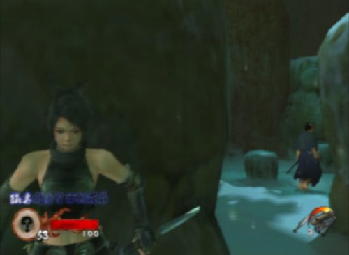 Tenchu 3 : Wrath of Heaven