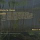 Vietcong: Fist Alpha