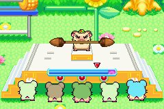 Hamtaro: Rainbow Rescue