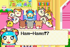 Hamtaro: Rainbow Rescue