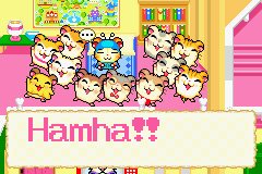 Hamtaro: Rainbow Rescue