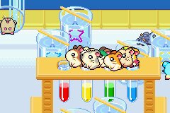 Hamtaro: Rainbow Rescue